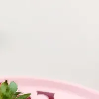 マリメッコの新作