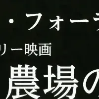 映画と社会問題