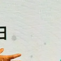 ZESDAの新たな挑戦