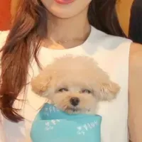 ペットケアの新時代