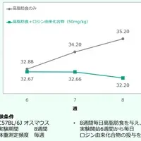 ロジンの抗肥満効果