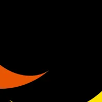 高齢者安心サービス