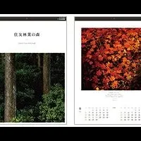 2026年カレンダー紹介