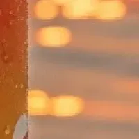 滋賀の新コラボビール