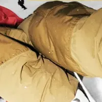 アーサーロンゴ コレクション