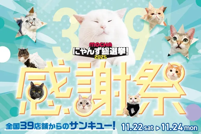 MOCHAにゃんず総選挙2025感謝祭」開催！特別衣装で猫が歓迎する3日間