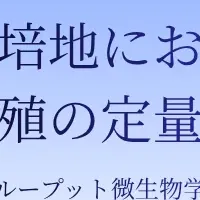 カーブジェンの新技術