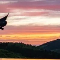 匠心無界の開催