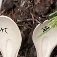 代官山爽涼祭の挑戦