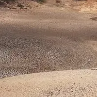 土地劣化の影響