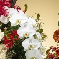 ゴトウフローリスト特集