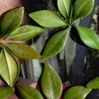 女性写真家支援の新施策