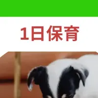 Pets Tokyoお得クーポン