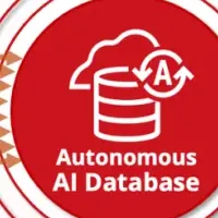 新サービス登場