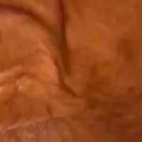 渡辺恒雄の告白