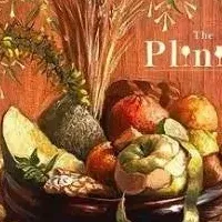 『The Plinius』の挑戦