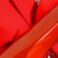 高中正義ワールドツアー