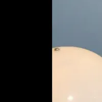 新色バーガンディ登場