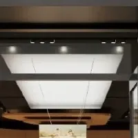 ウイルソン日本初上陸