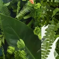 入優仁選手TOP5入賞