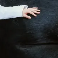 新作ウェア登場！