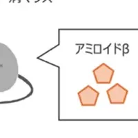 アルツハイマー治療に期待