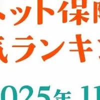 ペット保険人気ランキング