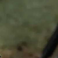 トライアンフのセール情報