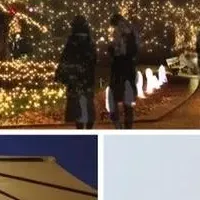 イルミネーションとデリ