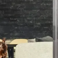 愛犬との特別旅