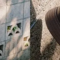 秋冬コレクション