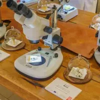 フランスチーズ体験