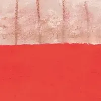 柿本幸造の魅力