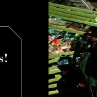 アートアクアリウムの魅力