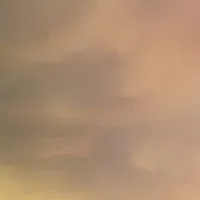 ウィキッド新コレクション