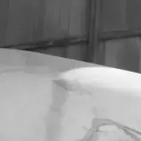 安田侃氏、受賞記念個展