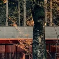 冬の味覚とお節