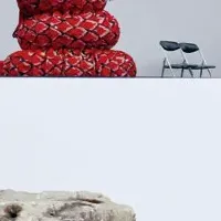 「いのち」と自然の共生