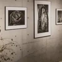 写真とアートの世界