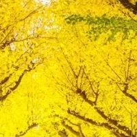 栗本智恵美写真展