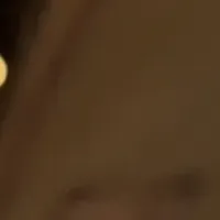 Aladdin Pocaの成功