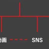 文化体験プロジェクト始動
