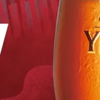 音楽とビールの共演