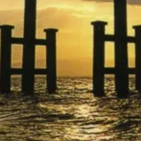 期間延長の特別BOX