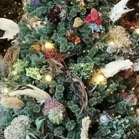 サステナブルなクリスマス