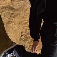 ZENとのコラボ登場