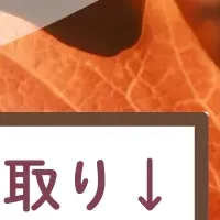 べあ〜君フォトコンテスト