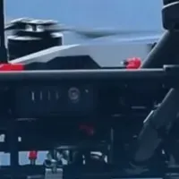 愛犬と安全対策