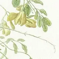 衝撃のノンフィクション