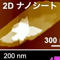 光で操るナノ材料